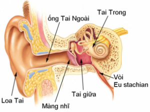 viêm tai giữa